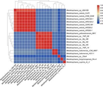 Comparative Genomic Analysis Reveals the Metabolism and Evolution of the Thermophilic Archaeal Genus Metallosphaera